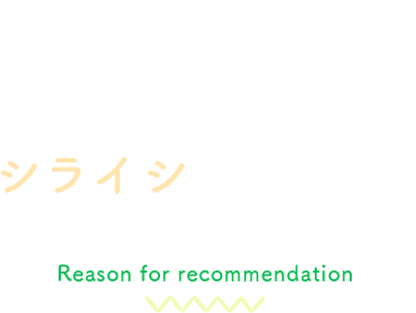 シライシの外壁塗装がおすすめの理由 Reason for recommendation 